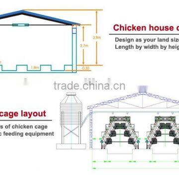 professional chicken house designs with engineer available