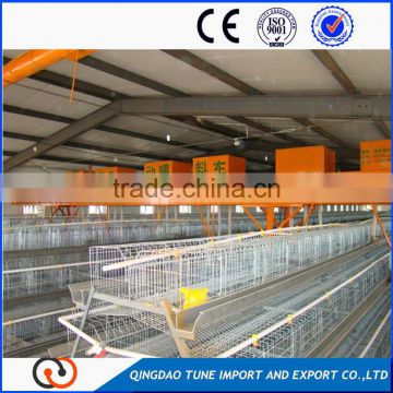 poultry automatic feeding system / chicken farming