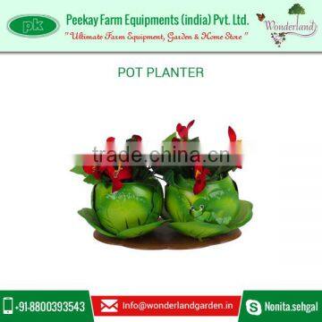 Cabbage Shape Pot Planters Available at Very Low Rate