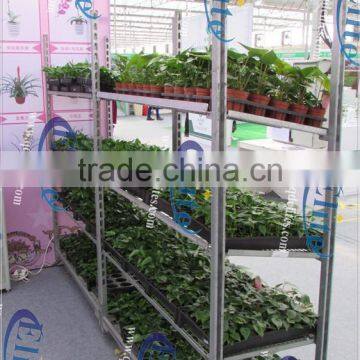 271 Nursery plant Danish flower trolley TC4622