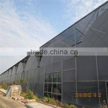 Multi-span Low Cost Greenhouse,commercial Greenhouse in Tanzania photo-2