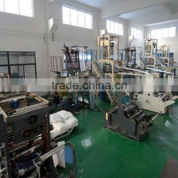 Special Design Hot Sell OEM Custom Printed Plastic Shopping Bag Carrier Bag Die Cut Plastic Bag photo-5