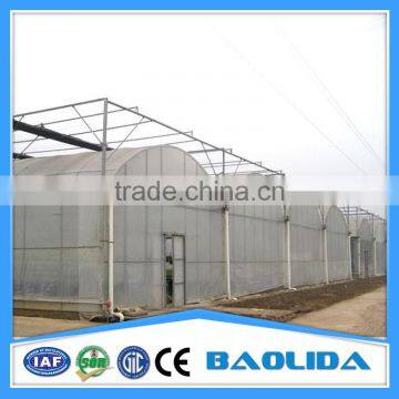 Agricultural Used Greenhouse Sale photo-3
