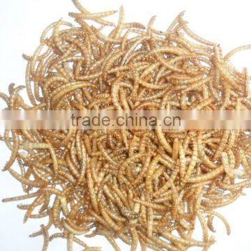 Bird Food Dried Crickets // Dried Mealworms // Grasshopper photo-2