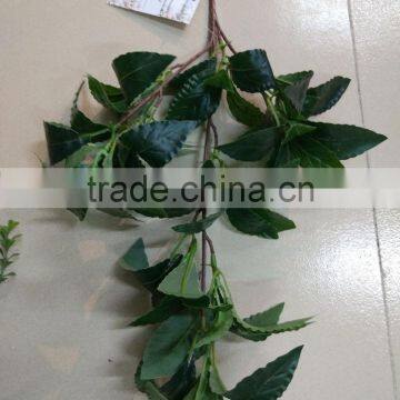 CHY070908 High quality tree leaves/Bay leaf craft/bay leaf production