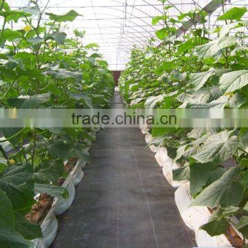 Plastic Ground Cover Breathable Mesh Fabric photo-5