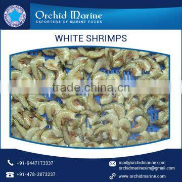 Best Quality Rich Delicious Natural White Shrimps at Competitive Market Rate photo-4