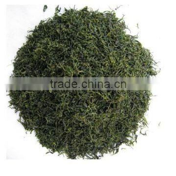 Kuding Tea,bitter Tea,ku Ding Cha,herbal Tea ,qing Shan lu Shui,health Tea photo-2