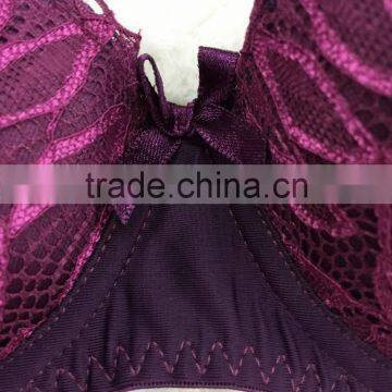 Katrina Kaif Sexi Lace Bra Panty Set Image Shantou China OEM Underwear photo-3