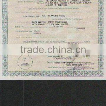 SIALKOT CHAMBER OF COMMERCE AND INDUSTRY