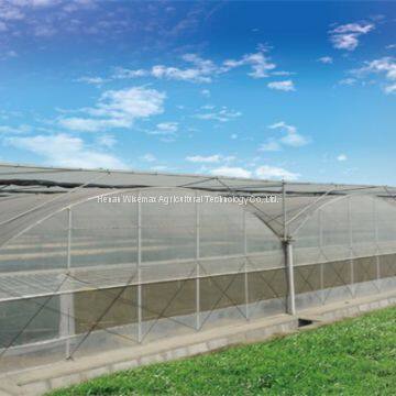 Agriculture tomato vegetable double plastic film inflatable greenhouse