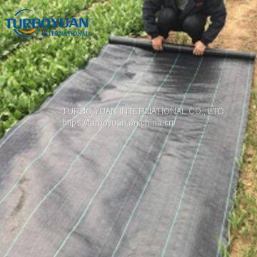 PP Woven Weed Stop Fabric Plastic Ground Cover Membrane photo-3
