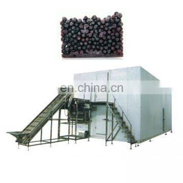 IQF freezer blast freezer frozen french fries production line and fluidized quick freeze machine