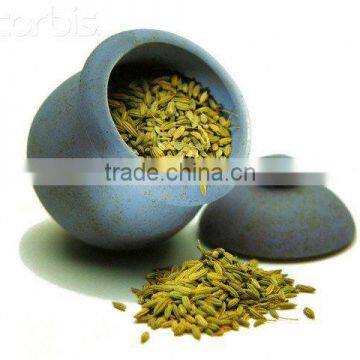 Fennel Seeds