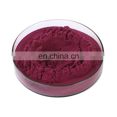 Factory supplies elderberry extract powder elderberry juice concentrate anthocyanins