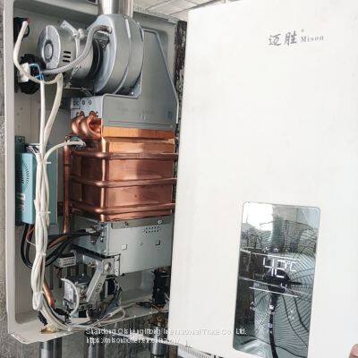 Tankless Hot Water Heater Instant Gas Water Heater Geyser Boiler For Bath Shower photo-3