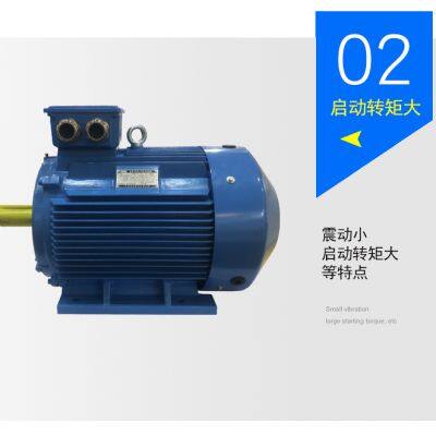 IE5 YE5-250M-4-55kW FOR FAN COMPRESS 400V/690V MOTOR photo-3