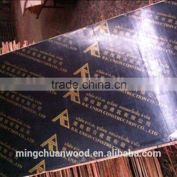 Film Faced Plywood ,commercial Plywood,plywood photo-3