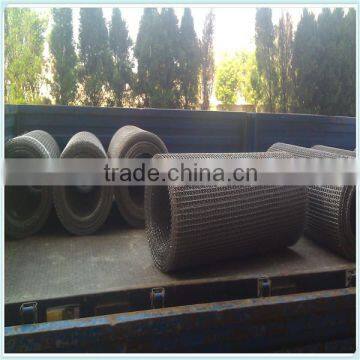Galvanized Woven Crimped Wire Mesh