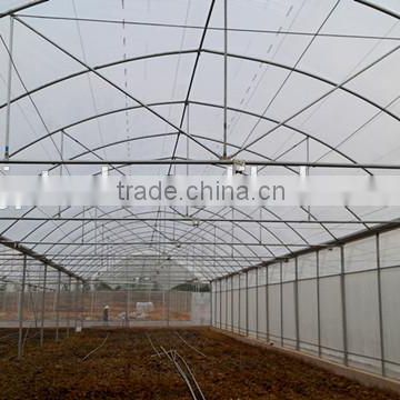 single span tomato greenhouse