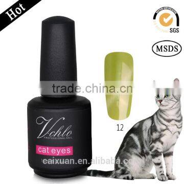 Factory Oem Soak off Nails Art Gel Polish Cat Eye Color Gel Nail Polish photo-6