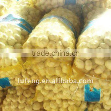 Chinese fresh garlic