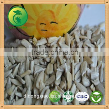 White Sunflower Kernels name of oil seeds