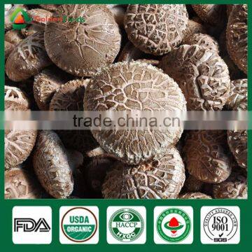 Spawn Logs of Shiitake Mushroom,Mushroom Logs for Sale,Shiitake Mushroom Logs photo-3