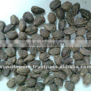 Spices Black Cardamom