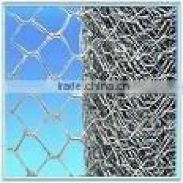 Hexagonal netting