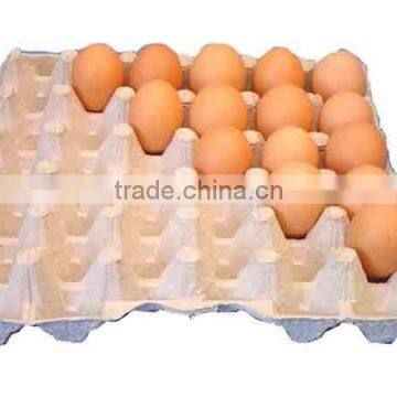 Molded Fiber Paper Pulp Egg Tray Machine photo-3
