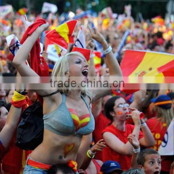 2016 Euro football fans paint face quality face paint