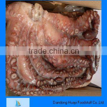 Frozen octopus boiled cut leg