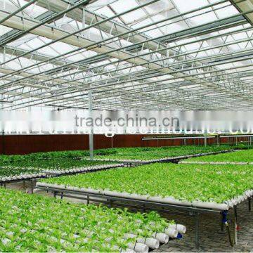 Vegetable-growing Greenhouse-commercial Greenhouses photo-5