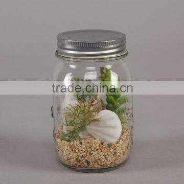 Wholesale artificial Succulent Plants green desert plants in nice glass Bottle