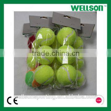 Wellson Practice tennis ball