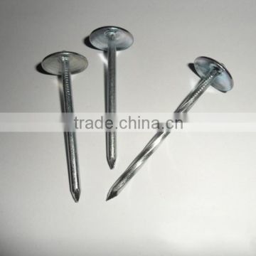 2015 Umbrella head roofing nails