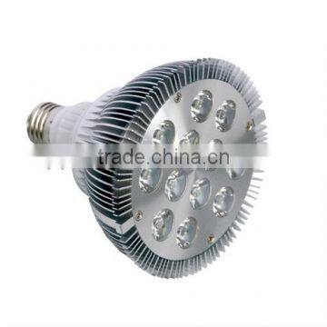 13W LED Spotlight