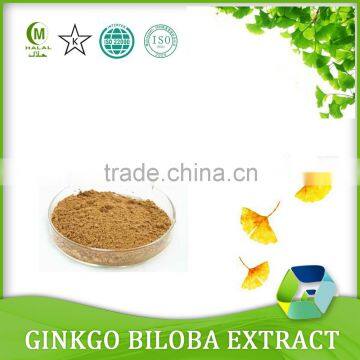 ISO&HACCP Water Soluble Ginkgo Biloba Extract.