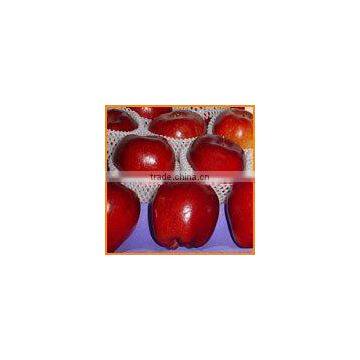 red delicious apple