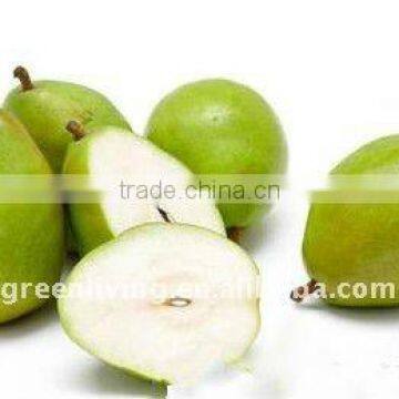 Chinese bartlett pear