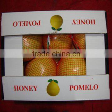 Export New Fresh GuanXi High Quality Honey Pomelo