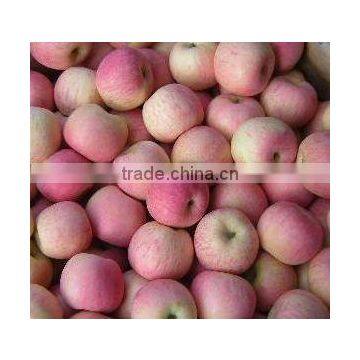 fresh gala apple