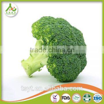 Broccoli Fresh Broccoli Hot Sale Fresh Green Broccoli photo-2