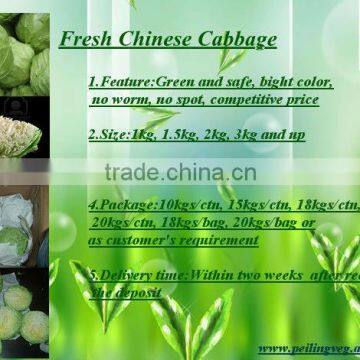 2013 New Crop Chinese Round Cabbage