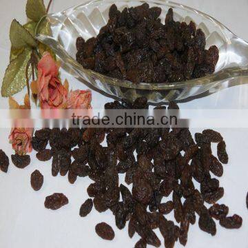 Nature healthy seedless fresh sultanas raisin