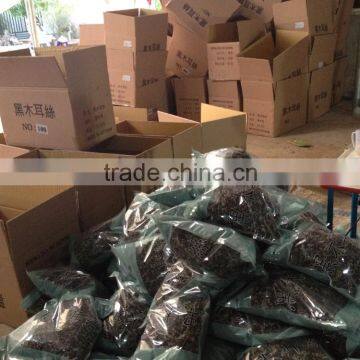 Strip Black Fungus Mushroom photo-3