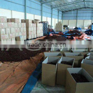 High Quality Vietnam Star Aniseeds Without Stems / Anise - Cheap Price! photo-5