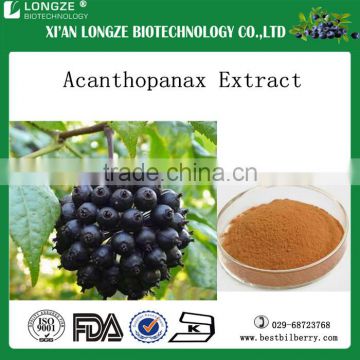 Factory direct supply Acanthopanax Extract in food and medicine grade