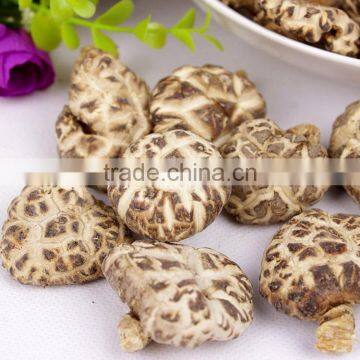 Flower Mushroom,Dried Shiitake Mushroom